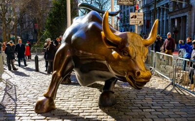 Investors Remain Bullish on Community Solar